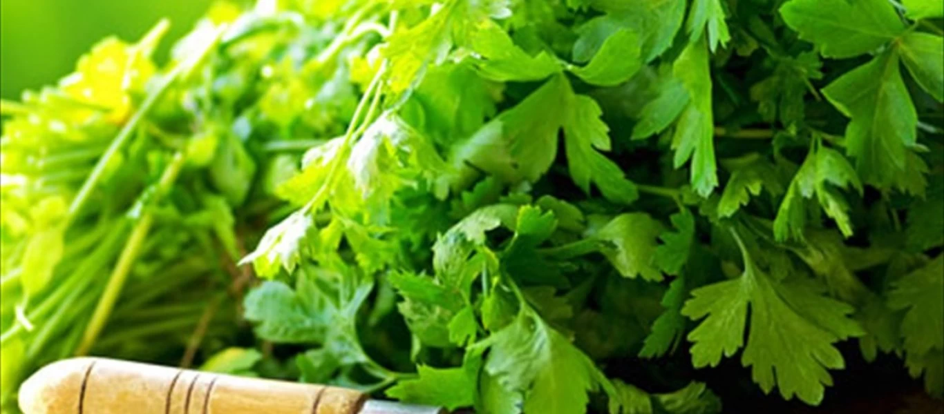 Mε αυτό το βότανο προστατεύεσαι από καρκίνο και διαβήτη!